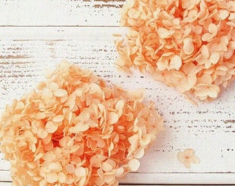 Julia Orange / Annabelle Hydrangea with small petals,  DIY Floral Arrangements, and High-Quality Home decor Flowers.