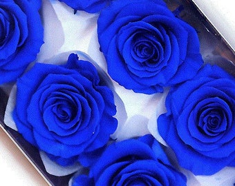 Large Indigo Blue Roses Japanese Preserved, DIY Flower Arrangements, Wedding Decorations, Rose Gift.