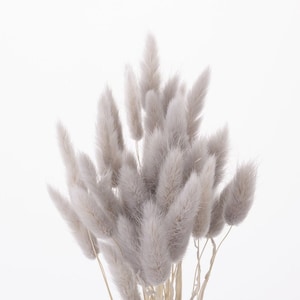 Pearl Gray / Lagurus, for a sparkling floral arrangement, Floral Arrangements, Home Décor, Floral Vase Arrangements