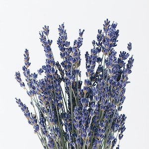 Dried Lavender Aromatherapy Diffuser With Vintage Inspired Bud