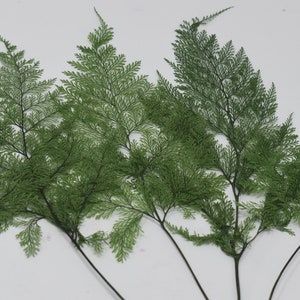 Tabalia Fern Leaf, Preserved Leaves Pack, Wholesale Foliage, DIY Floral Arrangements, DIY Home Decor, Dried Vase Bouquet image 4