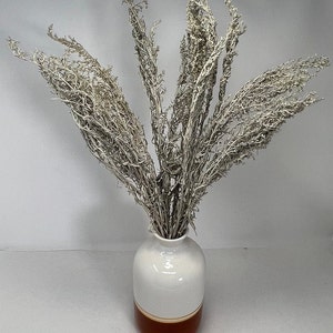 Artemisia Natural Leaves Pack,  DIY Floral Arrangements, DIY Home Décor, Dried Vase Bouquet