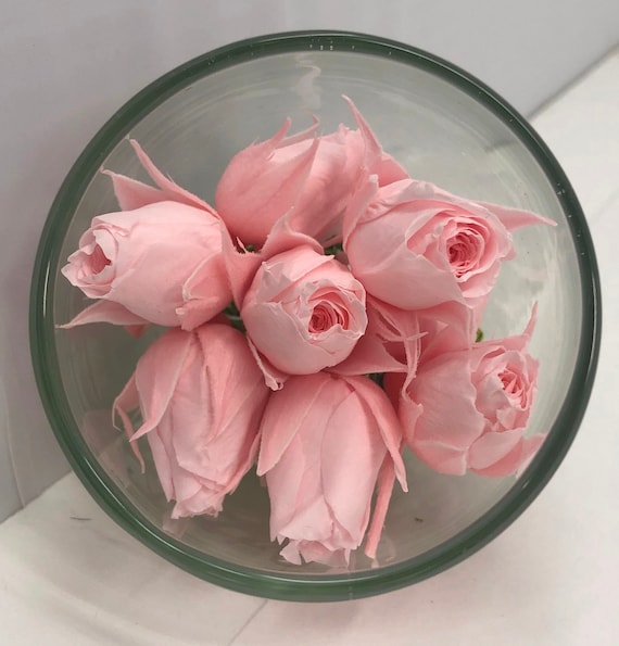 Price Reduced / Susie Rose Buds Preserved Rose in Bridal Pink