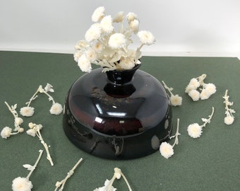 Japanese Pong Pong Mum Micro in White color, Perfect as Home Décor, Home Décor, Flower Vase Arrangement.