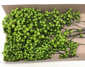 Free Shipping / Light Green -Pepperberry Preserved, cute little fruits. ideal for home décor. making bouquets and arrangements.