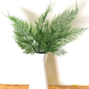 Tabalia Fern Leaf, Preserved Leaves Pack, Wholesale Foliage, DIY Floral Arrangements, DIY Home Decor, Dried Vase Bouquet image 5