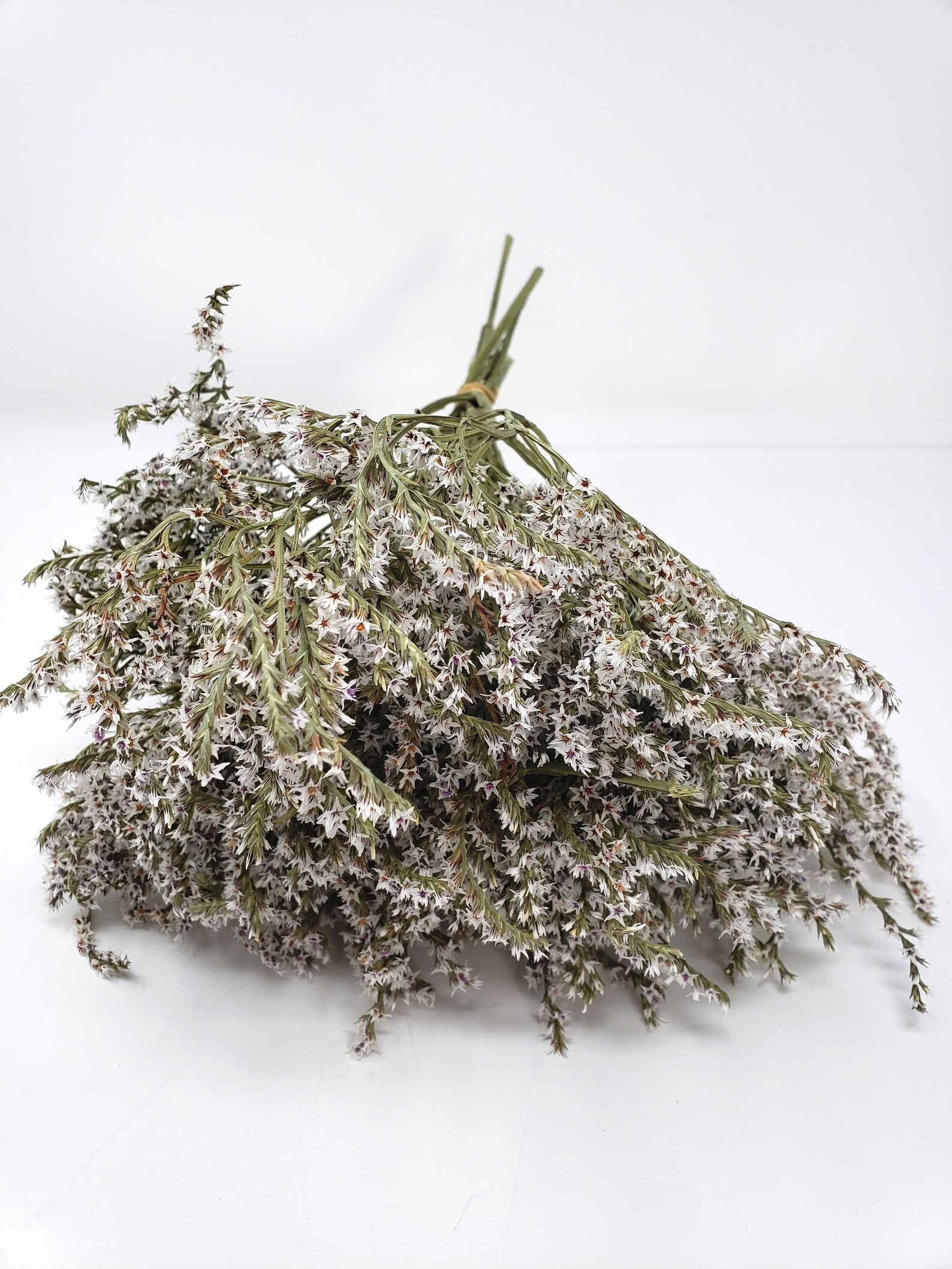 German Statice Natural White Dried Statice White Flowers Etsy