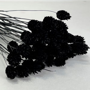 Phalaris in Jet Black, DIY Floral Arrangements, DIY Home Décor, Floral Vase Arrangements