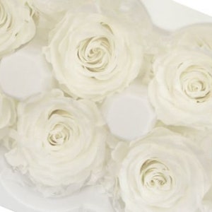 Large Pure White Roses Japanese Preserved, Perfect for DIY Home Décor, Flower Arrangements, Wedding Decorations, Rose Gift