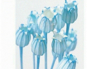 Blue / Florentiner Flower, It is a dried flower of cornflower with a unique shape like a flower.  DYI floral Arrangements.