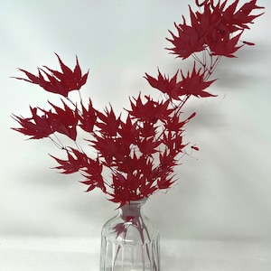 Japanese Maple Short Preserved Flower'- Red ,Foliage Stems, Wholesale Foliage, DIY Floral Arrangements, Home Decor,Vase Bouquet