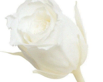 PRICE REDUCED / Japanese Vivian Preserved Rose Pure White, Roses Wholesale, Perfect as DIY Floral Arrangements, Rose Gift.