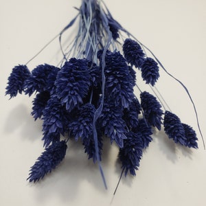 Phalaris in Cobalt Blue, DIY Floral Arrangements, DIY Home Décor, Floral Vase Arrangements