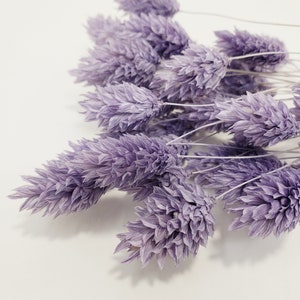 Phalaris in Angle Purple , DIY Floral Arrangements, DIY Home Décor, Floral Vase Arrangements