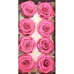 Espirit Pink  Large Preserved Roses, Perfect for DIY Home Décor, DIY Flower Arrangements, Wedding Decorations, Rose Gift