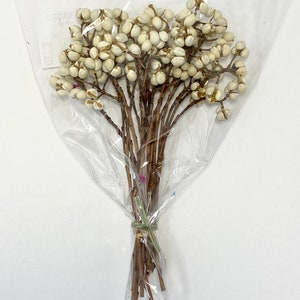 Natural Dried Chinese Tallow Tree, ideal for home décor. making bouquets and arrangements. image 8