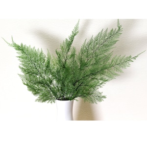 Tabalia Fern Leaf, Preserved Leaves Pack, Wholesale Foliage, DIY Floral Arrangements, DIY Home Decor, Dried Vase Bouquet