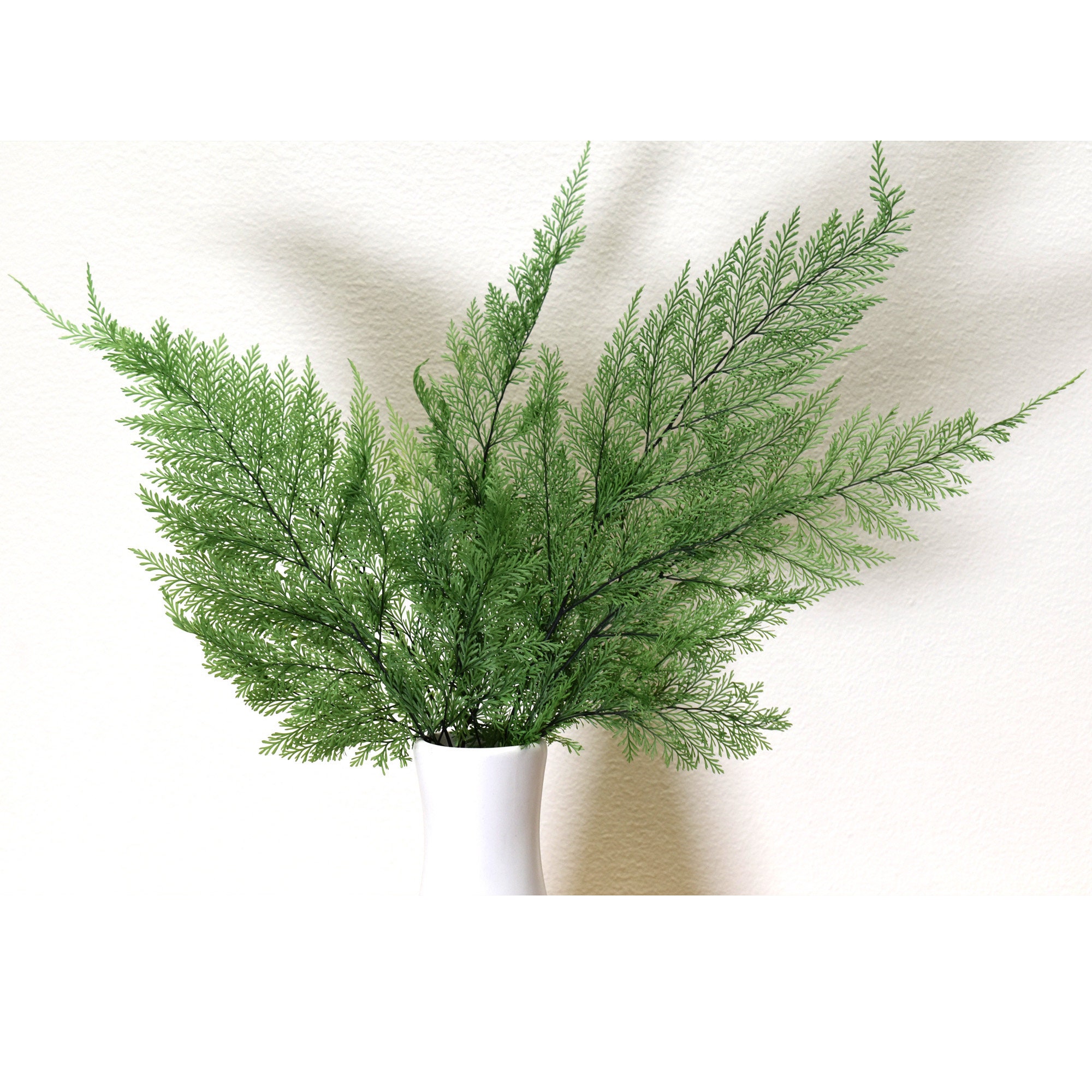 Large Preserved Fern Leaves White Dried Flowers - 10 PCS Real Dried Fern,  100% Natural Greenery for Christmas Decor, Wedding Invites, Home Decor