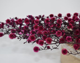 Starlinger Stawberry Color  Dried Natural Material Natural Dried Flower Interior Pre-Presa Flower, DYI floral Arrangements.