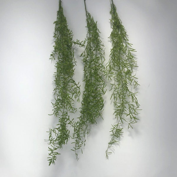 Green / Preserved Asparagus Sprengeri, Preserved Leaves Pack, DIY Floral Arrangement, DIY Home Décor, Vase Bouquet