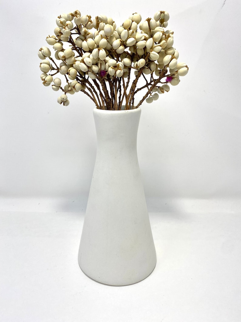 Natural Dried Chinese Tallow Tree, ideal for home décor. making bouquets and arrangements. image 3