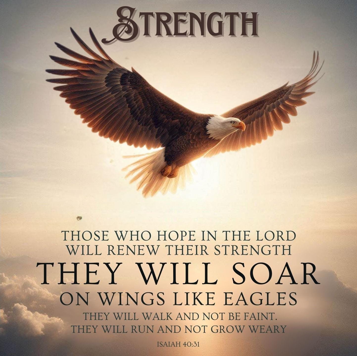 Soar On Wings Like Eagles {Verse Band} Soar On Wings Like Eagles {Verse Band}