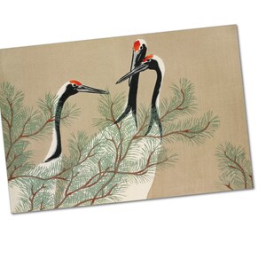 Cranes from Momoyogusa by Kamisaka Sekka Poster Print