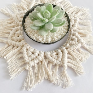 May include: A white macrame plant hanger with a round, black pot containing a green succulent plant and white decorative stones.