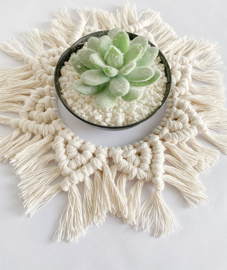 May include: A white macrame plant hanger with a round, black pot containing a green succulent plant and white decorative stones.