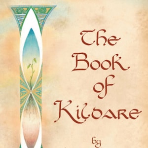 BEST SELLER: The Book of Kildare. Hardback, case bound, Signed, First Edition. Collector's Item imagem 1