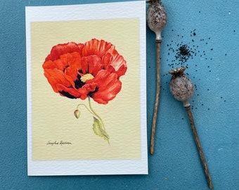 Oriental Poppy - Botanical Art Cards - Watercolour - 5 pack of blank cards