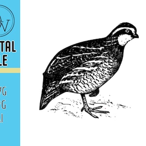 Quail Pheasant SVG, AI, and Jpeg.  Perfect For Shirts, Laser Cutters, CNC Machine and Vinyl Cutters
