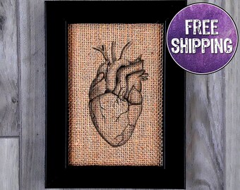 FRAMED Anatomical Heart On Burlap, Human Heart Anatomy Illustration, Cardiology Gift, Heart Nurse Gift, Human Heart Drawing On Burlap