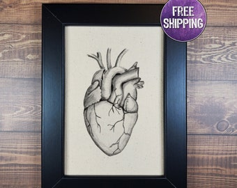 FRAMED Anatomical Heart On Canvas, Human Heart Anatomy Illustration, Cardiology Gift, Heart Nurse Gift, Human Heart Drawing, Anatomical Art