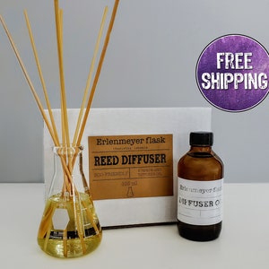 Reed Diffuser Gift Set With An Erlenmeyer Flask, Reed Diffuser Set, Chemistry Gift, Science Gift, Oil Diffuser Set, Science Gift For Women