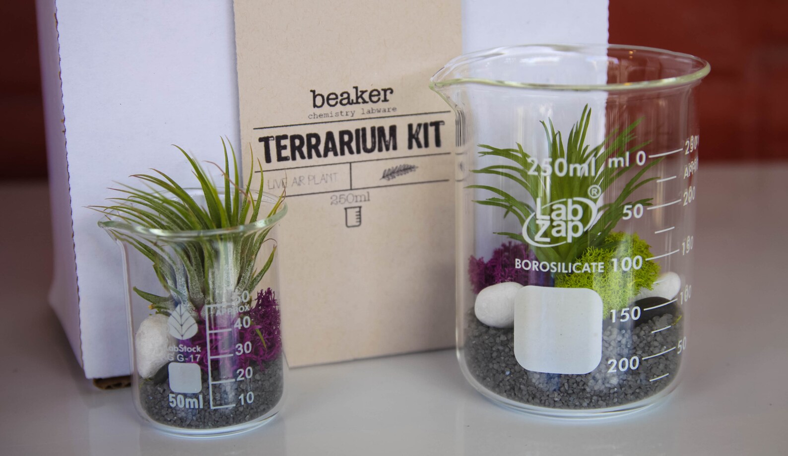 Double Beaker Terrarium Kit With TWO Beakers Purple/grey Etsy