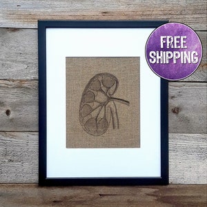 Anatomical Kidney Art On Burlap - Kidney Gifts For Medical Professionals - Kidney Wall Art - Kidney Transplant Gift - Urologist Office Art