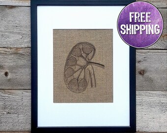 Anatomical Kidney Art On Burlap - Kidney Gifts For Medical Professionals - Kidney Wall Art - Kidney Transplant Gift - Urologist Office Art