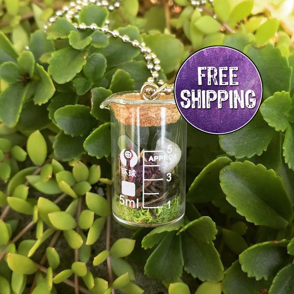 Beaker Terrarium Necklace Etsy