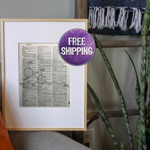 May include: A framed print of a chemical structure on a dictionary page. The print is in a light wood frame and is sitting on a gray couch. A plant is in the background. The text on the print says "FREE SHIPPING".