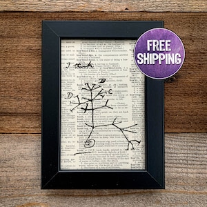 May include: A black framed print of a dictionary page with a hand-drawn tree branching out from the word "hush". The tree is drawn in black ink and has several branches and leaves. The print is on a wooden background.