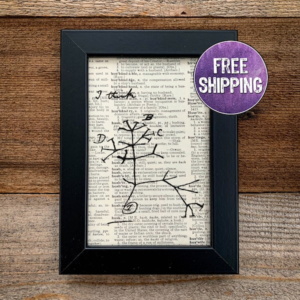 Evolutionary Tree of Life Etsy
