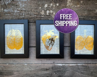 Real Foil Anatomy Framed Vintage Dictionary Pages, Heart Brain Lungs, Anatomical Heart, Teacher Gift, Science Teacher Gift, Classroom Decor