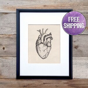 Anatomical Heart Art On Canvas - Human Heart Anatomy Print - Heart Wall Art - Heart Illustration Art Print - Gift Ideas For Cardiologists