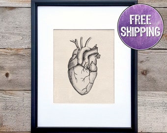 Anatomical Heart Art On Canvas - Human Heart Anatomy Print - Heart Wall Art - Heart Illustration Art Print - Gift Ideas For Cardiologists