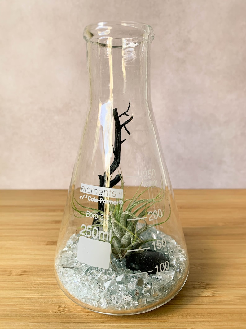 Op de afbeelding: Een heldere glazen kolf met een capaciteit van 250 ml, met een kleine luchtplant, een zwarte steen en heldere glasscherven. De kolf is ge&euml;tiketteerd met "elements" en "Cole-Palmer".