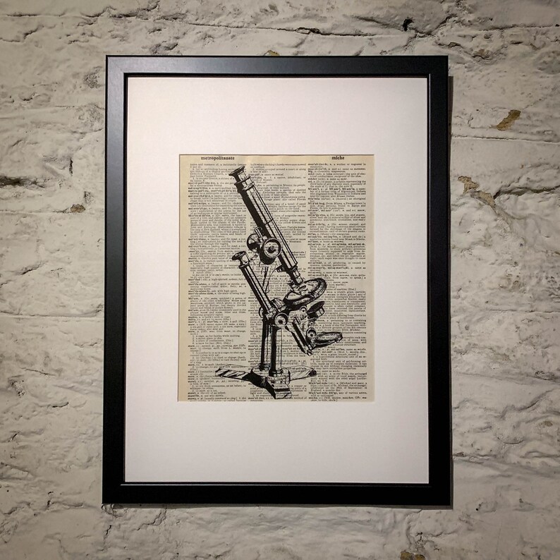 May include: A black and white illustration of a vintage microscope on a page from an old dictionary. The dictionary page includes the words "metropolitan" and "niche".