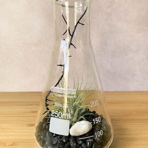 Op de afbeelding: Een heldere glazen kolf met een kleine luchtplant, zwarte stenen en een witte steen. De kolf is gemarkeerd met maatstrepen voor 250 ml, 200 ml, 150 ml en 100 ml. De tekst "elements&trade; Cole-Palmer&reg; Boro 3.3" is op de kolf gedrukt.