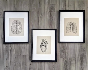 Brain, Heart, and Lungs Anatomy Triptych On Canvas - Three Piece Anatomy Wall Art