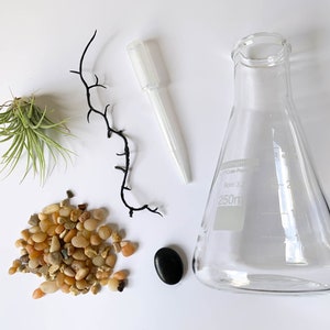 Op de afbeelding: Een terrariumset met een heldere glazen kolf, een kleine luchtplant, een zwarte tak, een zakje met kleine stenen, een zwarte steen en een heldere plastic druppelaar.